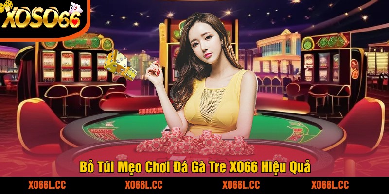 Bỏ Túi Mẹo Chơi Đá Gà Tre XO66 Hiệu Quả
