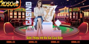 Giới Thiệu Về Đá Gà Cựa Dao