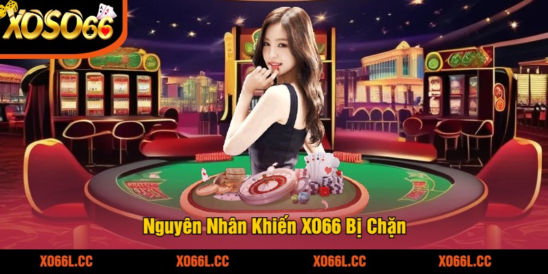 Nguyên Nhân Khiến XO66 Bị Chặn