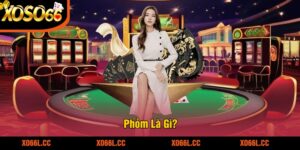 Phỏm Là Gì