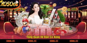Tổng Quan Về Bắn Cá Xèng