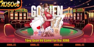 Tổng Quan Về Game Tài Xỉu XO66