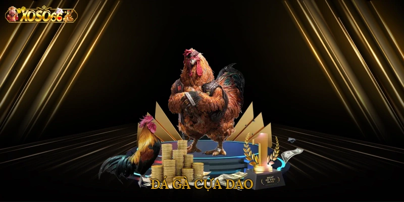 da-ga-cua-dao-1