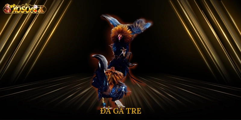 da-ga-tre-2